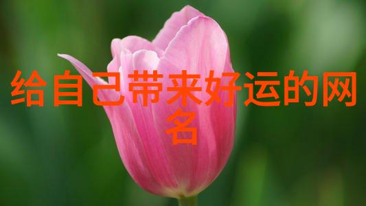励志网名好听又有内涵